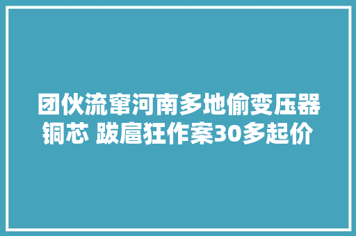 团伙流窜河南多地偷变压器铜芯 跋扈狂作案30多起价值百万
