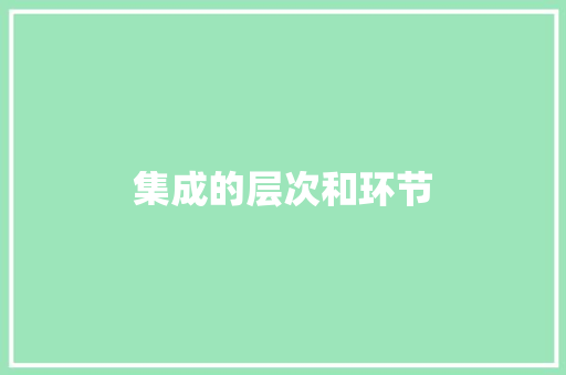 集成的层次和环节
