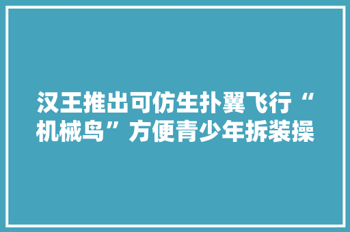 汉王推出可仿生扑翼飞行“机械鸟”方便青少年拆装操控