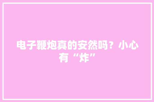 电子鞭炮真的安然吗？小心有“炸” 电子鞭炮真的安然吗？小心有“炸” 人工智能