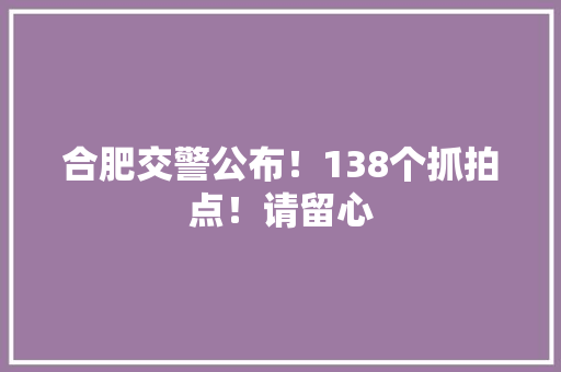 合肥交警公布！138个抓拍点！请留心
