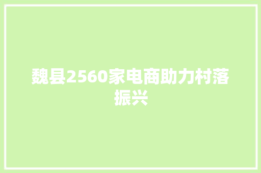 魏县2560家电商助力村落振兴