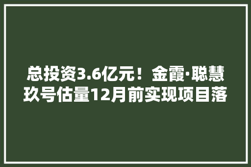 总投资3.6亿元！金霞·聪慧玖号估量12月前实现项目落成