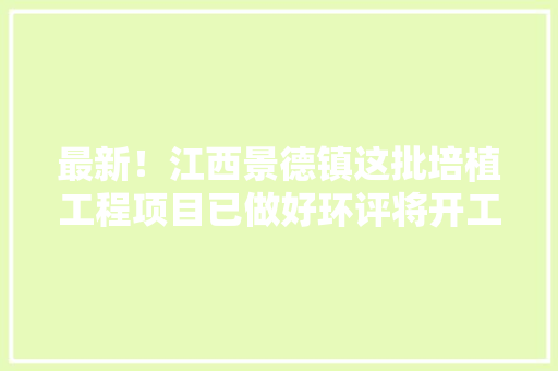 最新！江西景德镇这批培植工程项目已做好环评将开工附培植单位 最新！江西景德镇这批培植工程项目已做好环评将开工附培植单位 人工智能