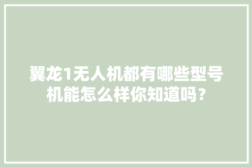 翼龙1无人机都有哪些型号机能怎么样你知道吗？ 翼龙1无人机都有哪些型号机能怎么样你知道吗？ 智能家居