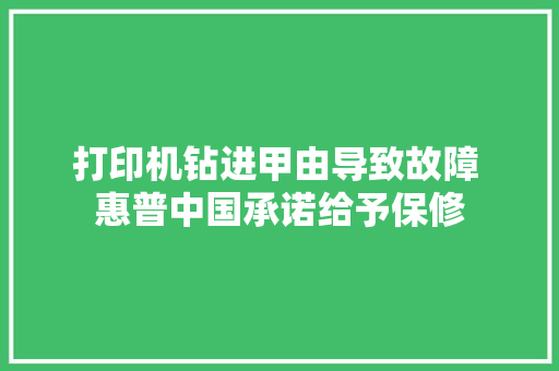 打印机钻进甲由导致故障 惠普中国承诺给予保修