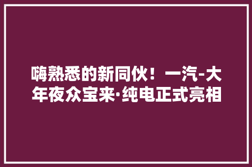 嗨熟悉的新同伙！一汽-大年夜众宝来·纯电正式亮相