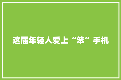 这届年轻人爱上“笨”手机 人工智能