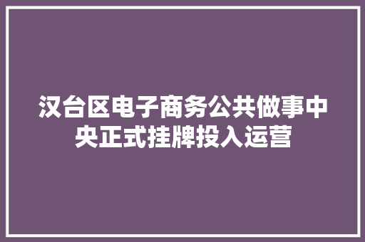 汉台区电子商务公共做事中央正式挂牌投入运营