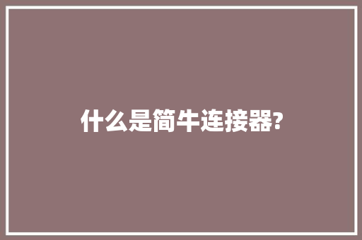 什么是简牛连接器?