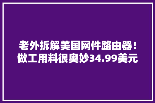 老外拆解美国网件路由器！做工用料很奥妙34.99美元值不值？