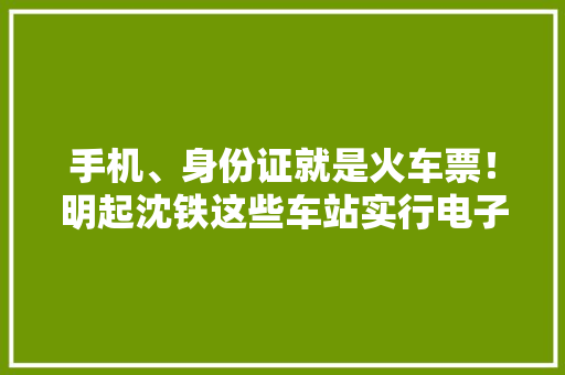 手机、身份证就是火车票！明起沈铁这些车站实行电子客票