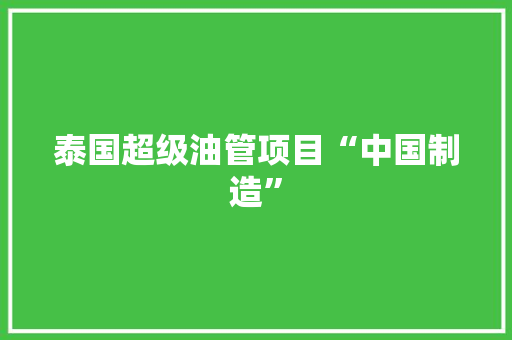 泰国超级油管项目“中国制造”