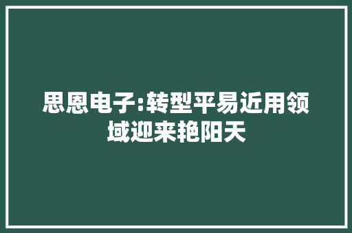 思恩电子:转型平易近用领域迎来艳阳天