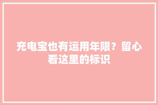 充电宝也有运用年限？留心看这里的标识 充电宝也有运用年限？留心看这里的标识 智能家居