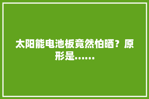 太阳能电池板竟然怕晒？原形是…… 太阳能电池板竟然怕晒？原形是…… 智能科技