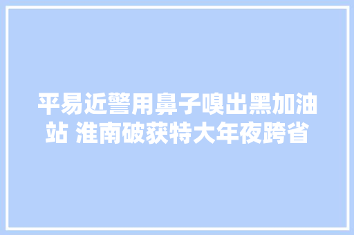 平易近警用鼻子嗅出黑加油站 淮南破获特大年夜跨省造孽经营成品油案件