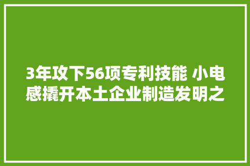 3年攻下56项专利技能 小电感撬开本土企业制造发明之路丨不遗余力拼经济搞培植