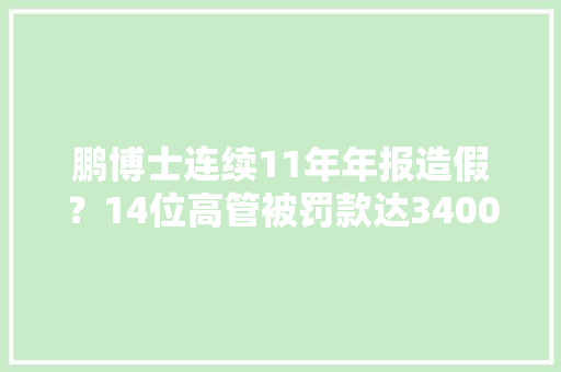 鹏博士连续11年年报造假？14位高管被罚款达3400万元