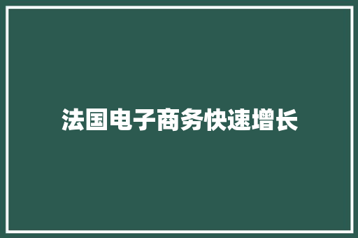 法国电子商务快速增长 法国电子商务快速增长 智能科技