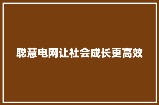 聪慧电网让社会成长更高效