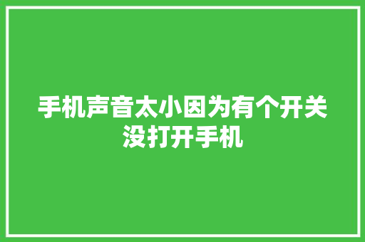 手机声音太小因为有个开关没打开手机