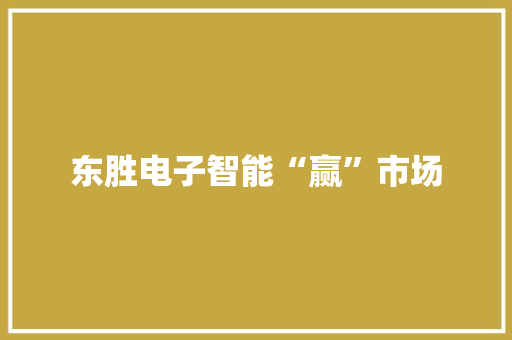 东胜电子智能“赢”市场 东胜电子智能“赢”市场 智能科技