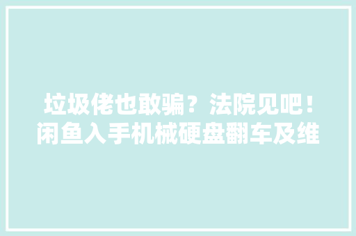 垃圾佬也敢骗？法院见吧！闲鱼入手机械硬盘翻车及维权分享