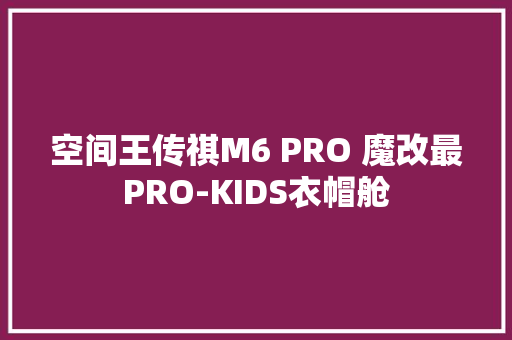 空间王传祺M6 PRO 魔改最PRO-KIDS衣帽舱