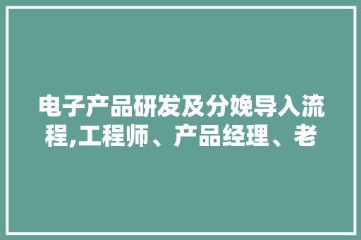 电子产品研发及分娩导入流程,工程师、产品经理、老板都要看 电子产品研发及分娩导入流程,工程师、产品经理、老板都要看 人工智能