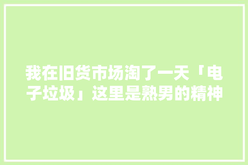 我在旧货市场淘了一天「电子垃圾」这里是熟男的精神博物馆