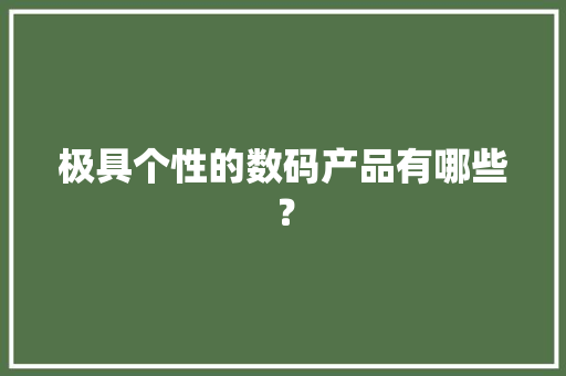 极具个性的数码产品有哪些？
