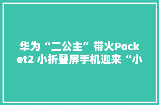 华为“二公主”带火Pocket2 小折叠屏手机迎来“小阳春”？