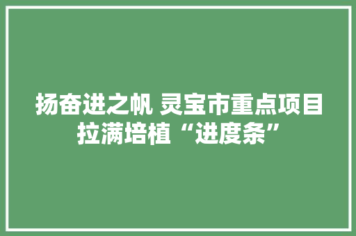 扬奋进之帆 灵宝市重点项目拉满培植“进度条”