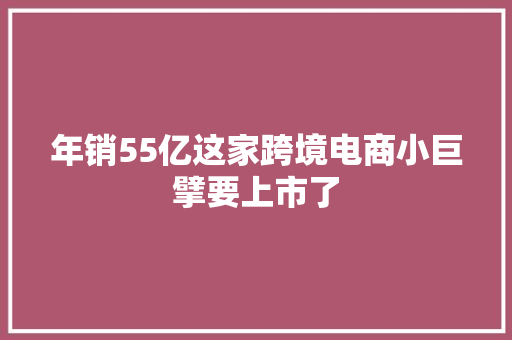 年销55亿这家跨境电商小巨擘要上市了 年销55亿这家跨境电商小巨擘要上市了 智能家居