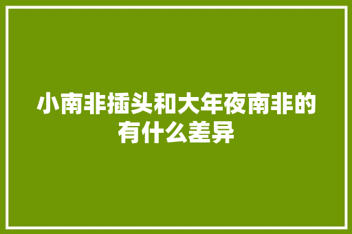 小南非插头和大年夜南非的有什么差异 小南非插头和大年夜南非的有什么差异 人工智能