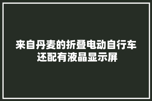 来自丹麦的折叠电动自行车 还配有液晶显示屏 来自丹麦的折叠电动自行车 还配有液晶显示屏 人工智能