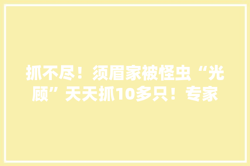 抓不尽！须眉家被怪虫“光顾”天天抓10多只！专家：这些器械招虫 抓不尽！须眉家被怪虫“光顾”天天抓10多只！专家：这些器械招虫 人工智能