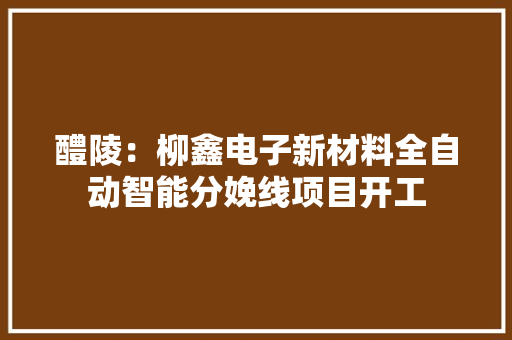醴陵：柳鑫电子新材料全自动智能分娩线项目开工