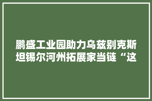 鹏盛工业园助力乌兹别克斯坦锡尔河州拓展家当链“这里的经济迎来了快速成长”（共建“一带一路”·第一现场）