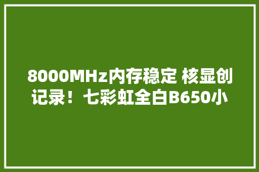 8000MHz内存稳定 核显创记录！七彩虹全白B650小板评测
