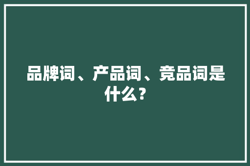 品牌词、产品词、竞品词是什么？