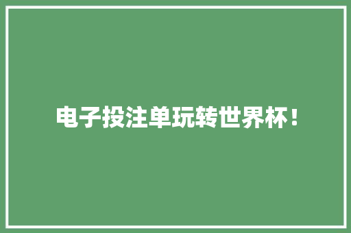 电子投注单玩转世界杯！