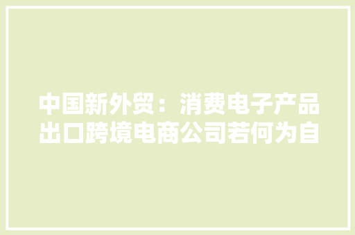 中国新外贸：消费电子产品出口跨境电商公司若何为自己插上飞翔的同党？