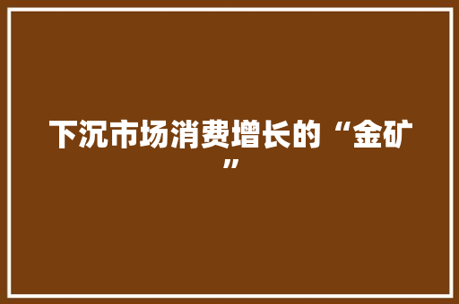 下沉市场消费增长的“金矿”
