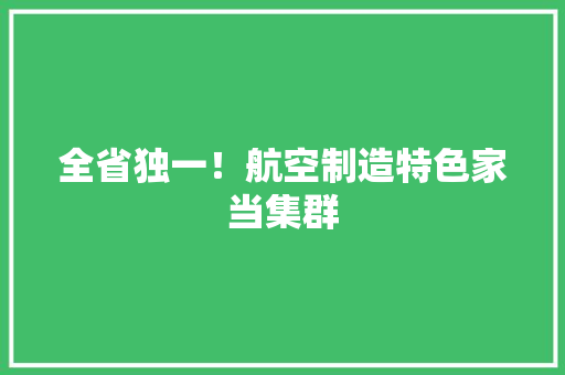 全省独一！航空制造特色家当集群