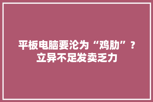 平板电脑要沦为“鸡肋”？立异不足发卖乏力