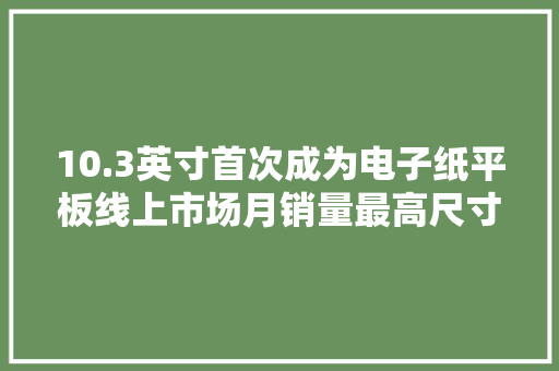 10.3英寸首次成为电子纸平板线上市场月销量最高尺寸