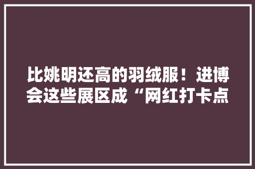 比姚明还高的羽绒服！进博会这些展区成“网红打卡点”：最辣拉面、最轻跑车……你见过吗？