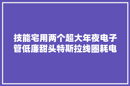 技能宅用两个超大年夜电子管低廉甜头特斯拉线圈耗电量惊人接近3000w